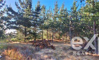 Sitio en Venta en Sitio 10.500 m2 Alto Colorado, Pichilemu