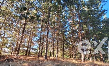 Sitio en Venta en Sitio 10.500 m2 Alto Colorado, Pichilemu