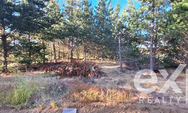 Sitio en Venta en Sitio 10.500 m2 Alto Colorado, Pichilemu