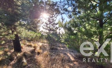 Sitio en Venta en Sitio 10.500 m2 Alto Colorado, Pichilemu