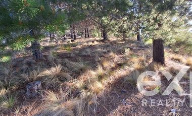 Sitio en Venta en Sitio 10.500 m2 Alto Colorado, Pichilemu