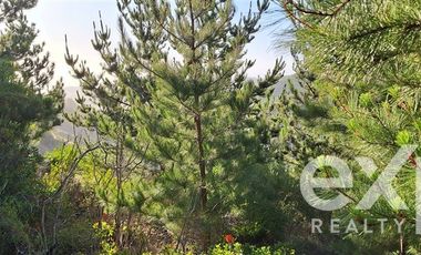 Sitio en Venta en Sitio 10.500 m2 Alto Colorado, Pichilemu