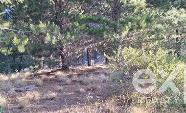 Sitio en Venta en Sitio 10.500 m2 Alto Colorado, Pichilemu