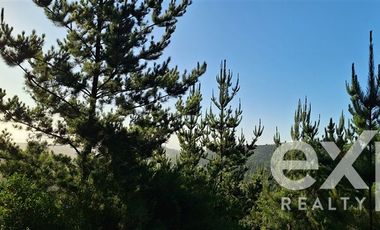 Parcela en Venta en Sitio 10.500 m2 Alto Colorado, Pichilemu