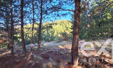 Parcela en Venta en Sitio 10.500 m2 Alto Colorado, Pichilemu