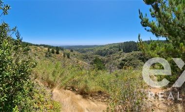 Parcela en Venta en Sitio 10.500 m2 Alto Colorado, Pichilemu