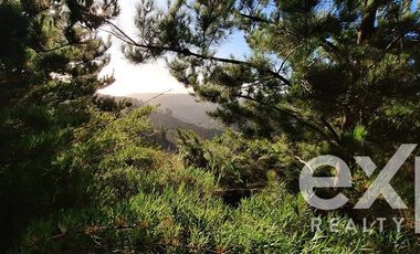 Parcela en Venta en Sitio 10.500 m2 Alto Colorado, Pichilemu