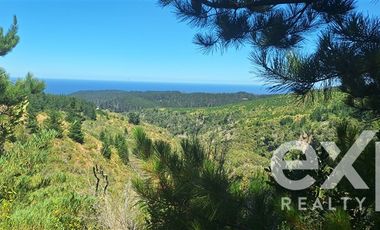 Parcela en Venta en Sitio 10.500 m2 Alto Colorado, Pichilemu