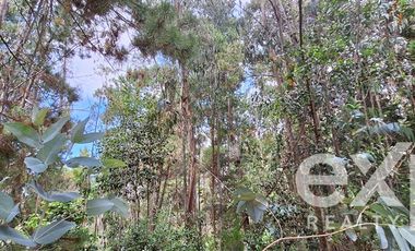 Casa en Venta en Parcela, Fundo Millaco Cahuil, Pichilemu