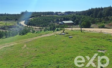 Casa en Venta en terreno 5.000 m2 Alto Colorado casa 63m2
