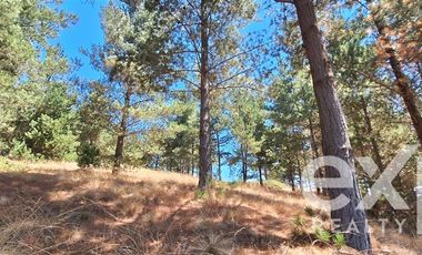 Sitio en Venta en Fundo Alto Boyeruca lote 33