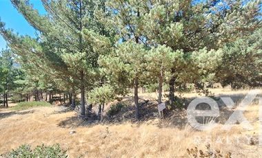 Sitio en Venta en Fundo Alto Boyeruca lote 33