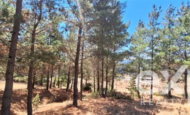 Sitio en Venta en Fundo Alto Boyeruca lote 33
