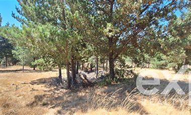 Parcela en Venta en Fundo Alto Boyeruca lote 33