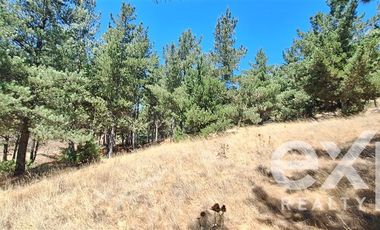 Parcela en Venta en Fundo Alto Boyeruca lote 33
