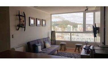 Arriendo Depto Amoblado 2D 2B, Edificio Civic