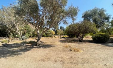 SITIOS EN LAS BRISAS DE CHICUREO CON ORILLA DE CANCHA Y SIN