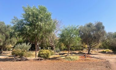 SITIOS EN LAS BRISAS DE CHICUREO CON ORILLA DE CANCHA Y SIN