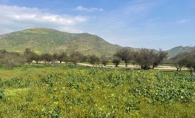 SITIOS EN LAS BRISAS DE CHICUREO CON ORILLA DE CANCHA Y SIN