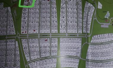 Venta terreno de 1.200 m2 en barrio privado con salida al río Azahares del Paraná, Fighiera, Rosario