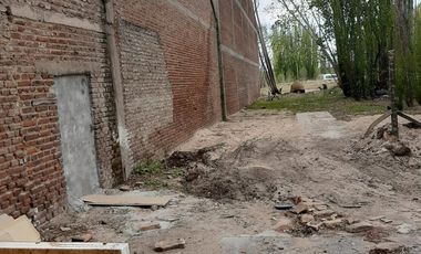 Frigorífico en VENTA - ciudad de Cinco Saltos