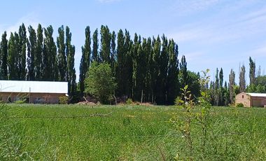 Frigorífico en VENTA - ciudad de Cinco Saltos
