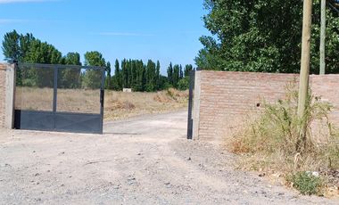 Frigorífico en VENTA - ciudad de Cinco Saltos