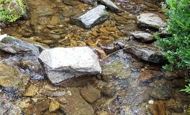 Agrícola en Venta en 179 hás cerca de Caleta Cóndor