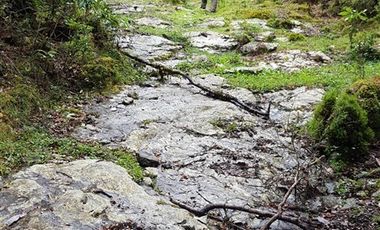 Agrícola en Venta en 179 hás cerca de Caleta Cóndor