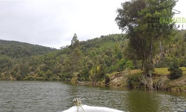 Agrícola en Venta en 179 hás cerca de Caleta Cóndor