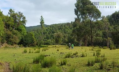 Agrícola en Venta en 179 hás cerca de Caleta Cóndor
