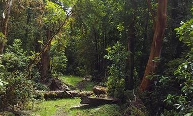 Agrícola en Venta en 179 hás cerca de Caleta Cóndor