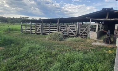 ¡Excelente Rancho con Cenote en venta! Tizimin, Yucatán.