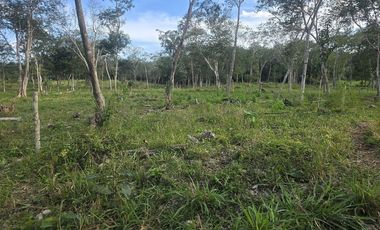 ¡Excelente Rancho con Cenote en venta! Tizimin, Yucatán.