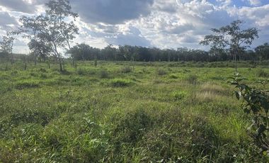 ¡Excelente Rancho con Cenote en venta! Tizimin, Yucatán.