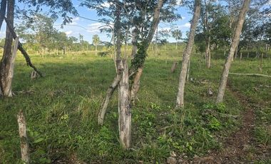 ¡Excelente Rancho con Cenote en venta! Tizimin, Yucatán.