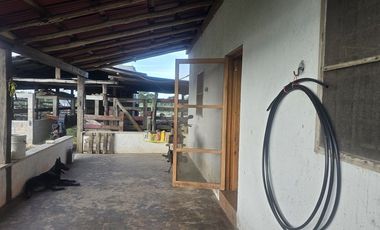 ¡Excelente Rancho con Cenote en venta! Tizimin, Yucatán.