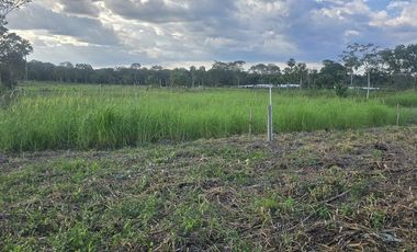 ¡Excelente Rancho con Cenote en venta! Tizimin, Yucatán.
