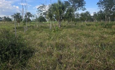 ¡Excelente Rancho con Cenote en venta! Tizimin, Yucatán.