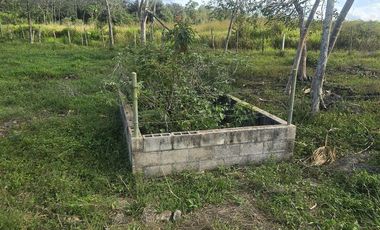 ¡Excelente Rancho con Cenote en venta! Tizimin, Yucatán.