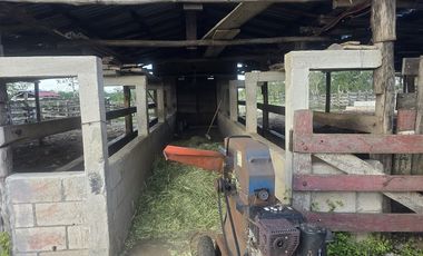 ¡Excelente Rancho con Cenote en venta! Tizimin, Yucatán.