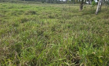 ¡Excelente Rancho con Cenote en venta! Tizimin, Yucatán.