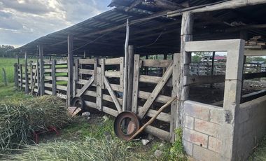¡Excelente Rancho con Cenote en venta! Tizimin, Yucatán.