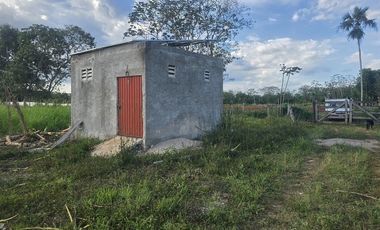 ¡Excelente Rancho con Cenote en venta! Tizimin, Yucatán.
