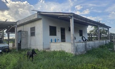 ¡Excelente Rancho con Cenote en venta! Tizimin, Yucatán.