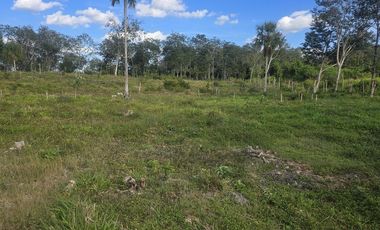 ¡Excelente Rancho con Cenote en venta! Tizimin, Yucatán.