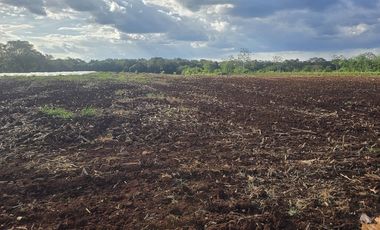 ¡Excelente Rancho con Cenote en venta! Tizimin, Yucatán.