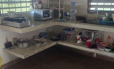 ¡Excelente Rancho con Cenote en venta! Tizimin, Yucatán.