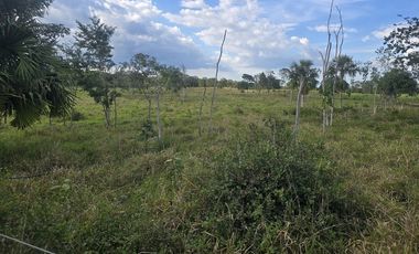 ¡Excelente Rancho con Cenote en venta! Tizimin, Yucatán.