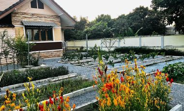 4 Bedroom House for sale in Huai Sak, Chiang Rai
